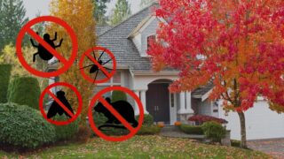 Fall Pests Preparation: Simple Home Protection Tips