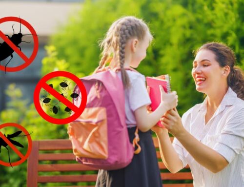 Back to School Pest Prevention: Keep Kids Safe