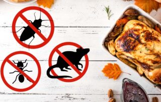 Thanksgiving Pest Control in Iowa City, IA