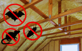 Attic Insulation and Pest Control