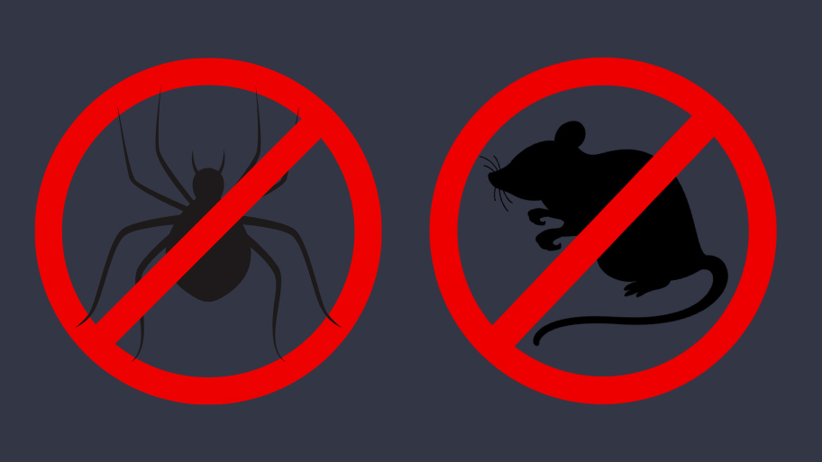 Pest Control Service in Fairfax, IA